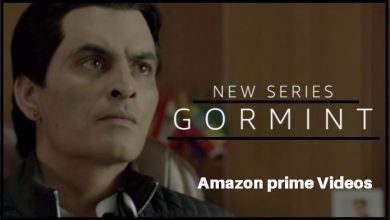 Gormint Web Series