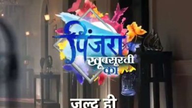 Pinjara Khubsurti Ka