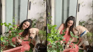 Ankita Lokhande PlantforSSR