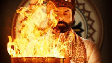 Aashram 2 Web Series