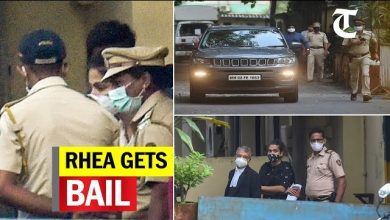 Bollywood Reacts to Rhea's bail