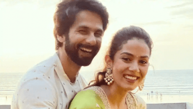 Meera Rajput and Shahid Kapoor