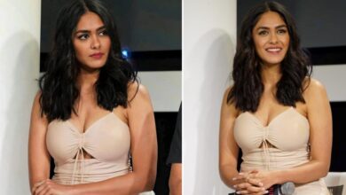 246858086 118213590623064 2932056405873307564 n