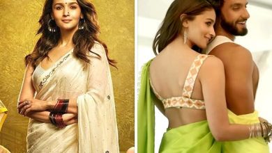 Alia Bhatt 20 sarees