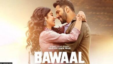 Bawaal Movie Review