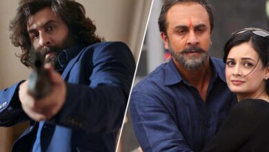 animal tops the box office